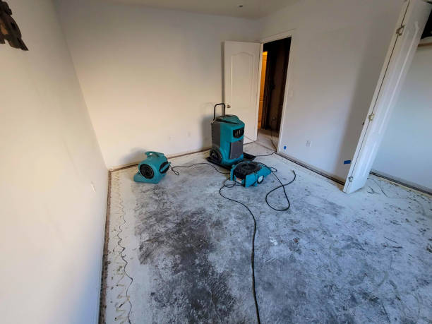 Water damage restoration mold remediation in Coats Bend, AL